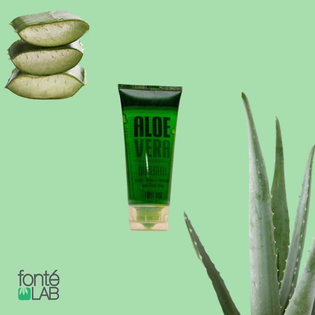 Gel Aloe Vera Orgánico
